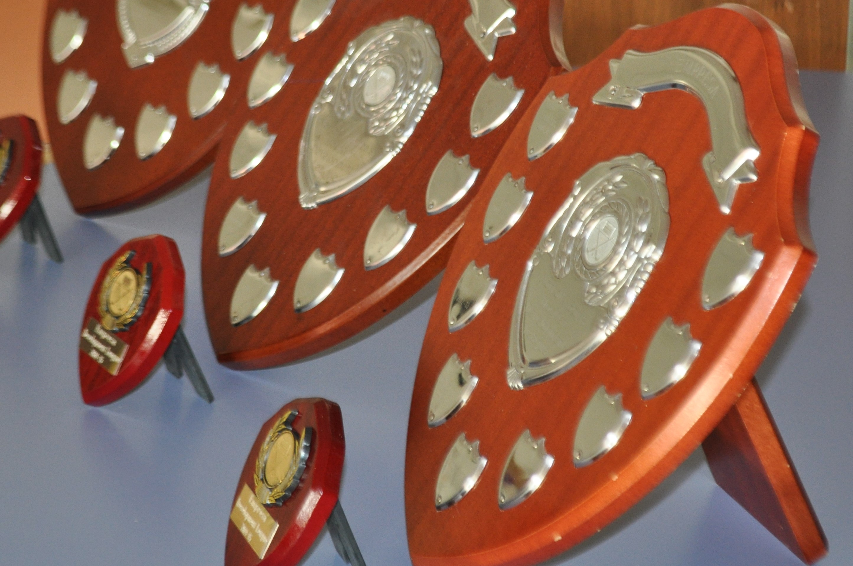 Image for article: Winners trophies to be awarded at the Empresa Women’s Norfolk Hockey AGM