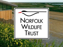 Norfolk Wildlife Trust logo