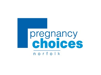 Pregnancy Choices Project Screenshot
