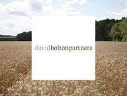 David Bolton Partners logo