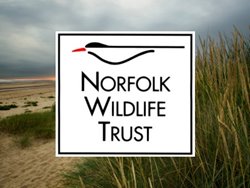 Norfolk Wildlife Trust logo