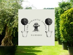 Romantic Garden Nursery Catalogue Website Developed By Empresa