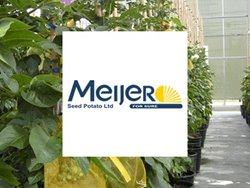 Meijer Seed Potato Ltd logo